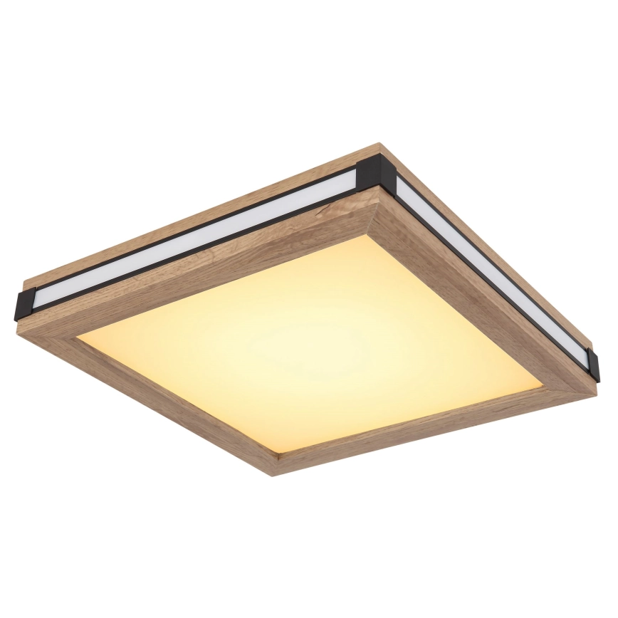 GLOBO  LED PLAFONDLAMP LED/12W/230V 30X30 CM